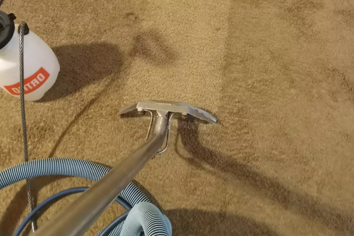 Get Fresh Carpets with Options for 3 to 7 Rooms and Hallway