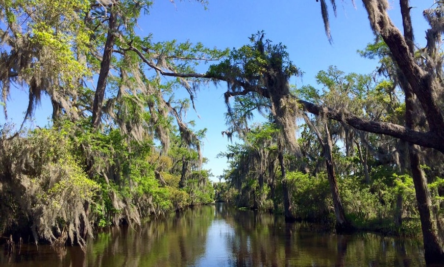 Louisiana Tour Company - From $17.49 - Marrero, LA | Groupon