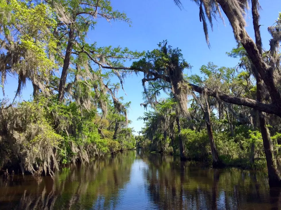 Louisiana Tour Company - From $56 - Marrero | Groupon