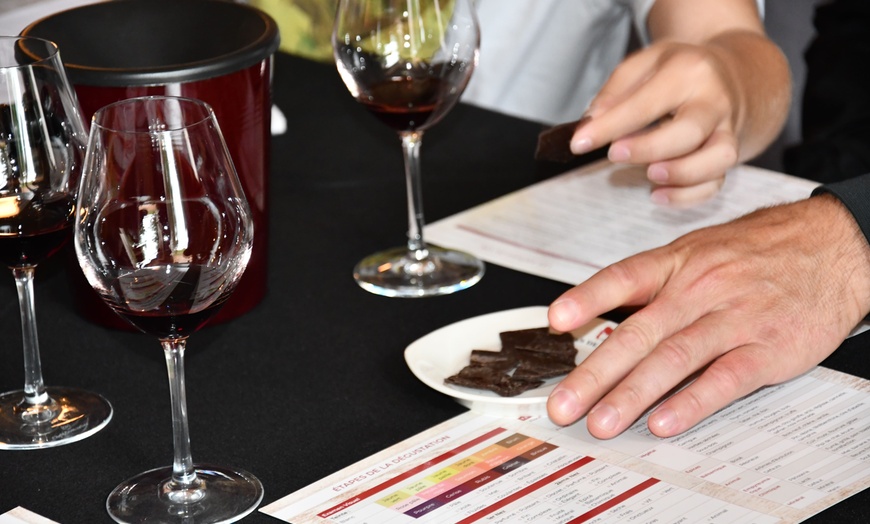 Image 1: Cours de dégustation de vins de 4h en Saint-Emilion Grand Cru