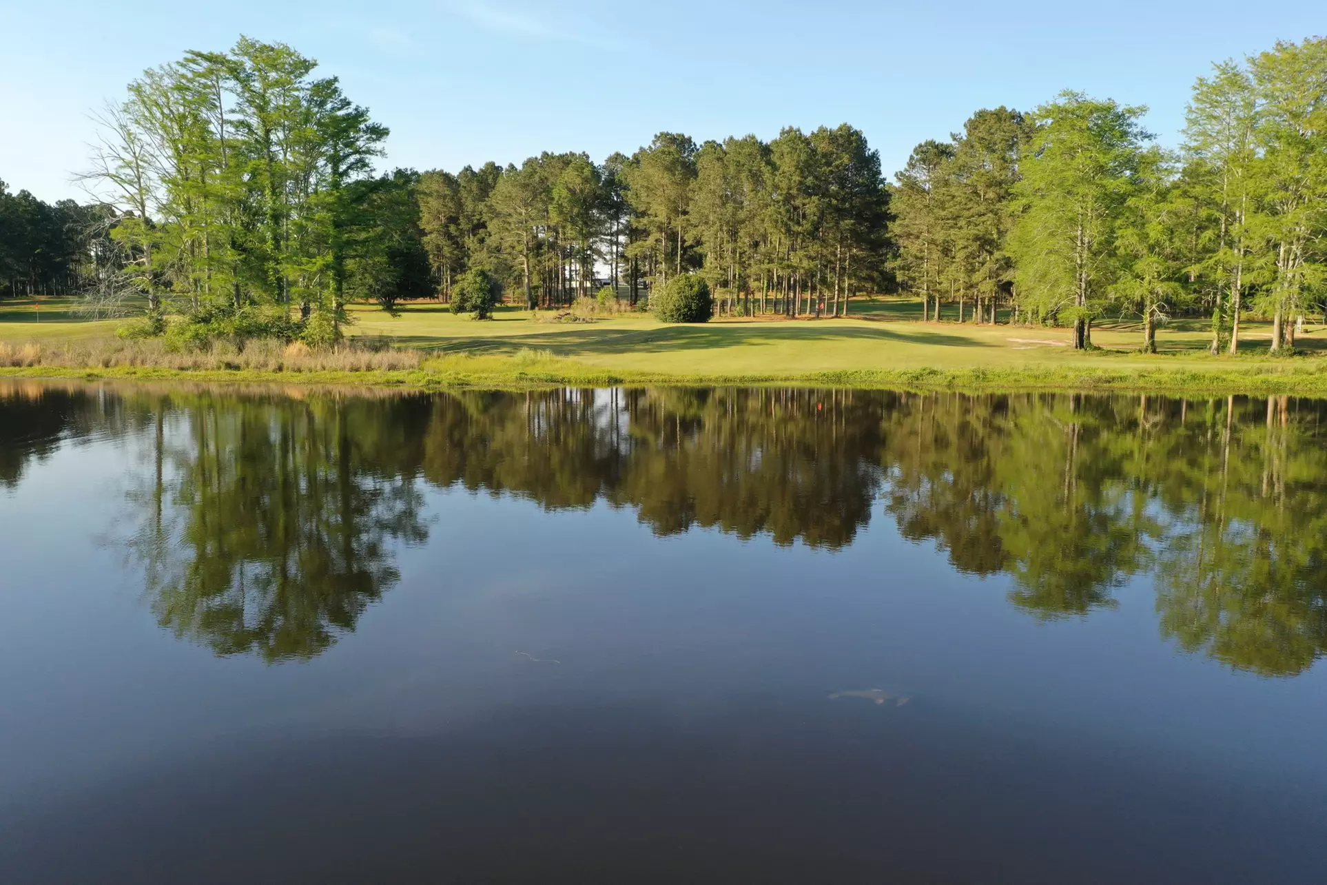 9 or 18 Holes w/ Cart on Weekdays or 1 Month Unlimited Play Any Day