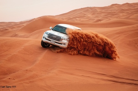 For One: Standard Desert Safari Dubai with Pickup Dropof