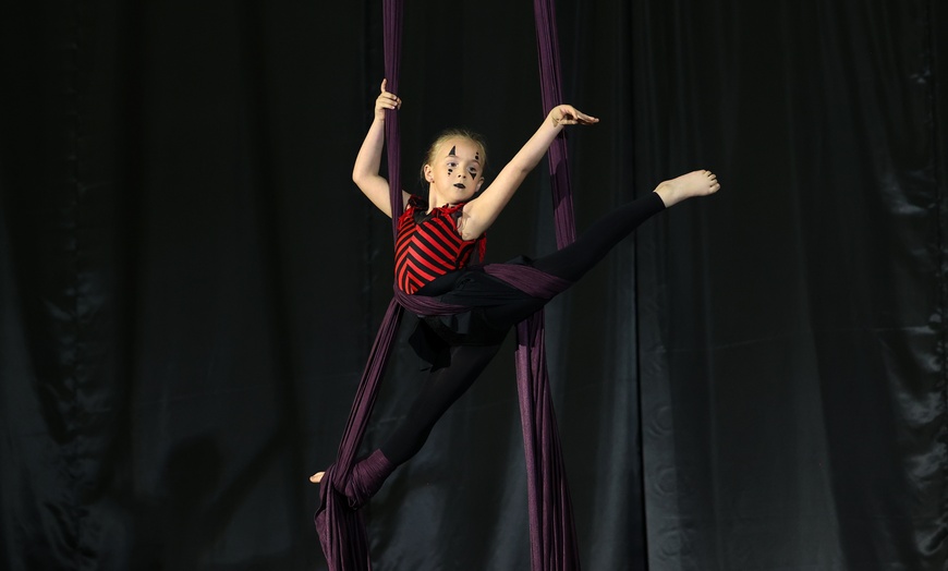 Image 3: Experience The Thrill Of Aerial Or Bungee Fitness