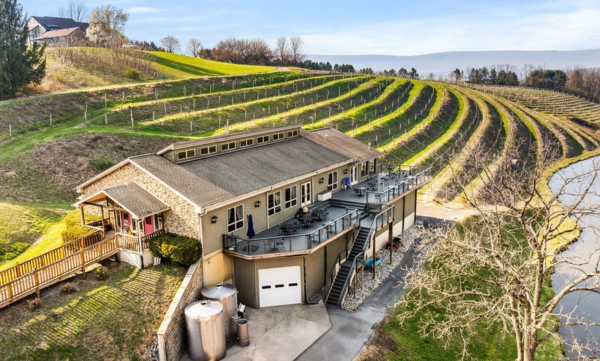 Image 1: Discover Wine & Cheese or Chocolate Pairing with Winery Tour 