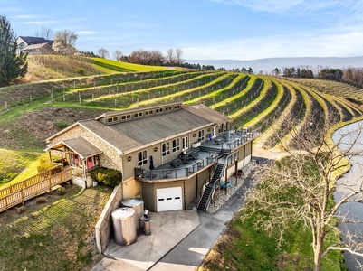 Wine & Cheese Pairing with Winery Tour for One - Blue Mountain Vineyards & Cellars