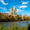 Image 2: Pedicab Tours: Central Park's Iconic Landmarks