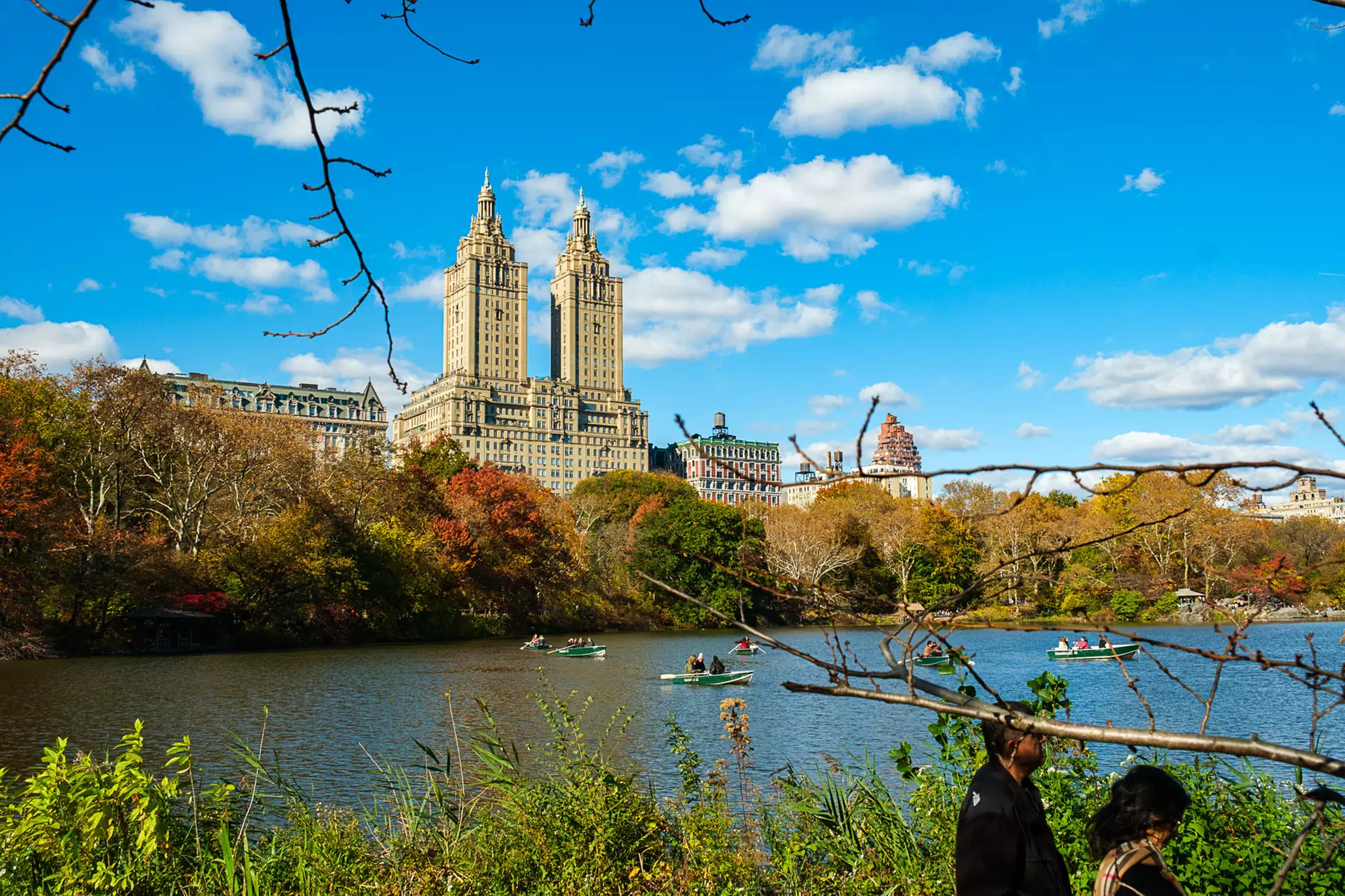 Up to 54% Off on Experience NYC's Central Park Pedicab Tours