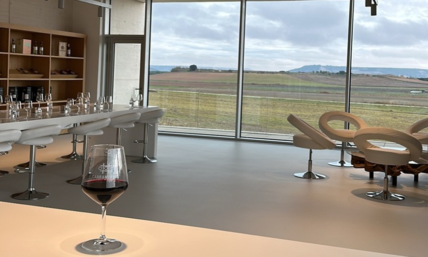 Image 3: Cata de 3 vinos, visita guiada y aperitivo en Bodegas Carramimbre