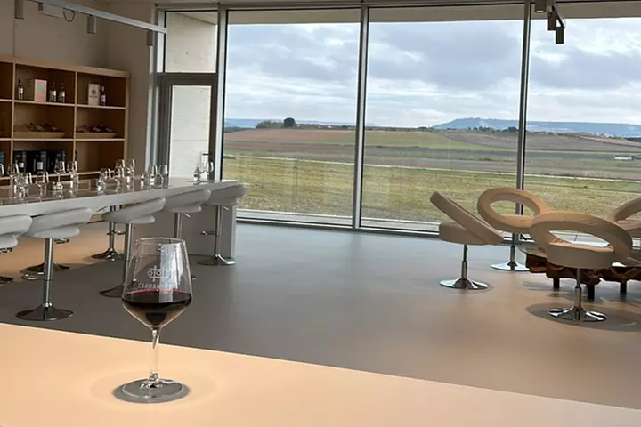 Cata de 3 vinos, visita guiada y aperitivo en Bodegas Carramimbre