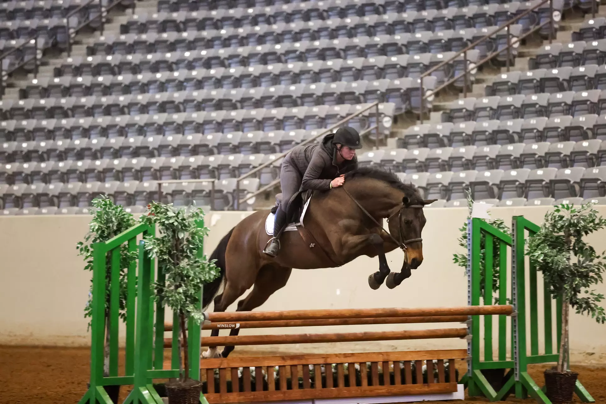 Up to 60% Off on Horse Back Riding - Recreational at Rlm Equestrian Llc - Primary Image