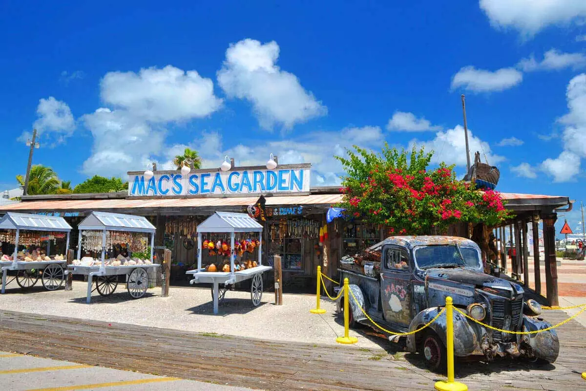 Explore Key West with a 12-Hour Scenic Bus Tour Adventure