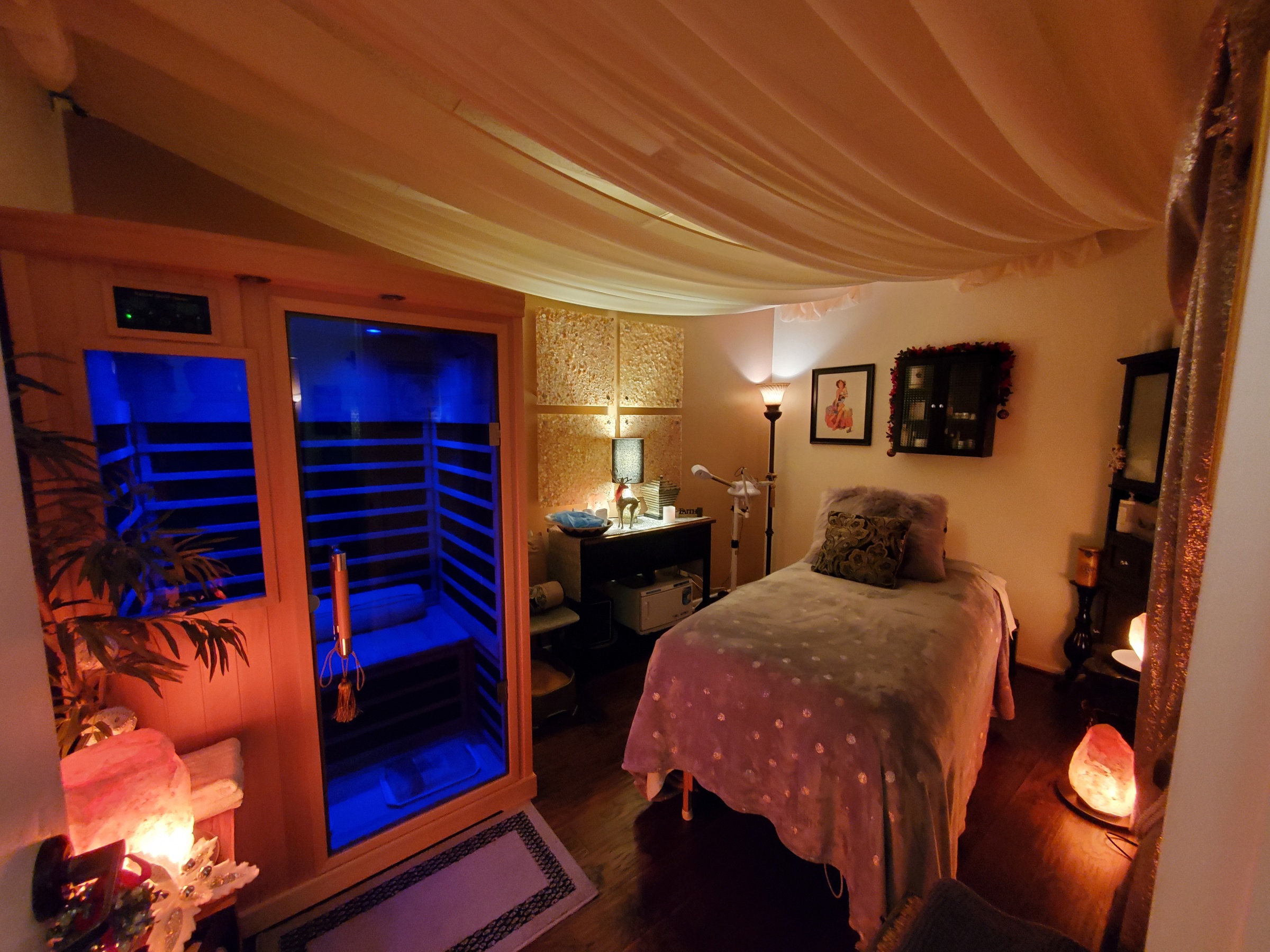 Spa Package- Infrared Sauna and Antioxidant Facial OR Back Treatment