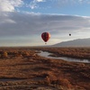 Image 7: Experience Hot Air Balloon Ride over Rio Grande Valley