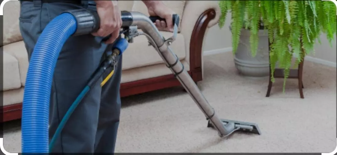 Carpet Cleaning Up to 1,000 Square Feet from Special Cleaning Services (Up to 21% Off). Two Options Available. - Primary Image