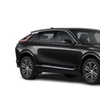 Image 4: Private Chauffeur: Seamless NYC to/from Penn Station Transfers
