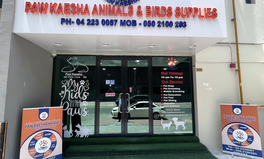 Image 1: Up to 60% Off on  at PAW KAESHA ANIMALS & BIRDS SUPPLIES