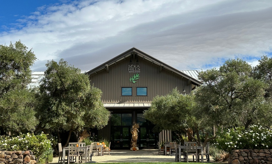 Image 7: Wine Tasting, Olive Mill Tour with Olive Oil Tasting for Two or Four