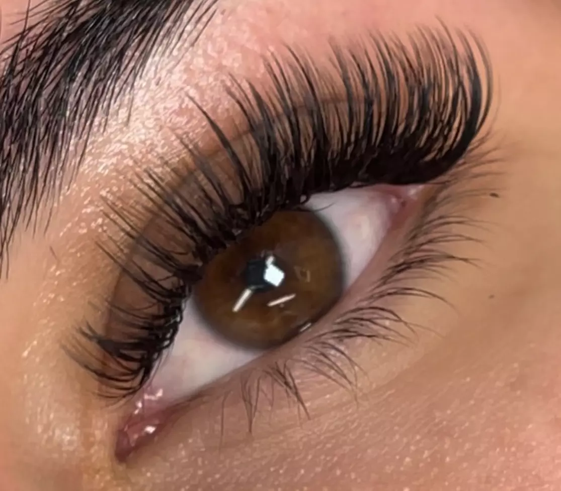 Up to 44% Off on Eyelash Extensions at Lashes by Dani Corp - Primary Image