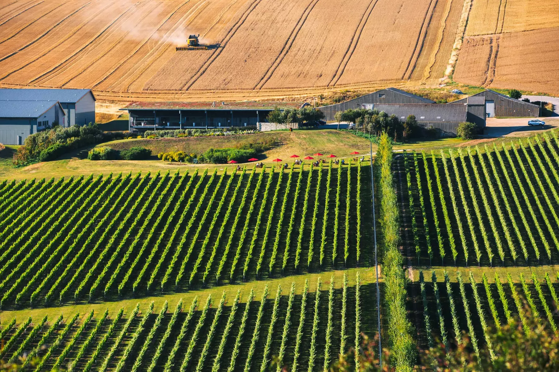 Up to 40% Off on Tour - Bus at cannonballtoursbrighton