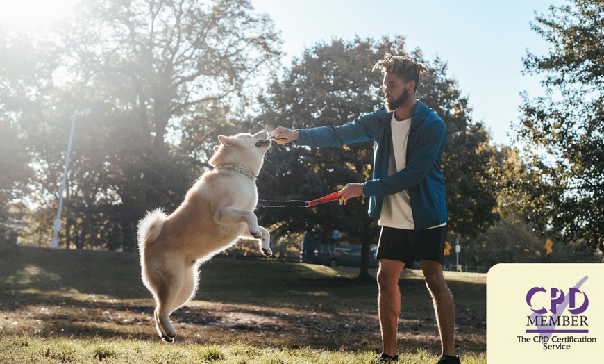 Image 1: Master Dog Handling with Dog Behaviour and Training Course