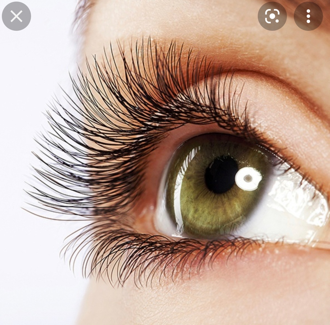 Up to 30% Off on Eyelash Extensions at Eyelure studio