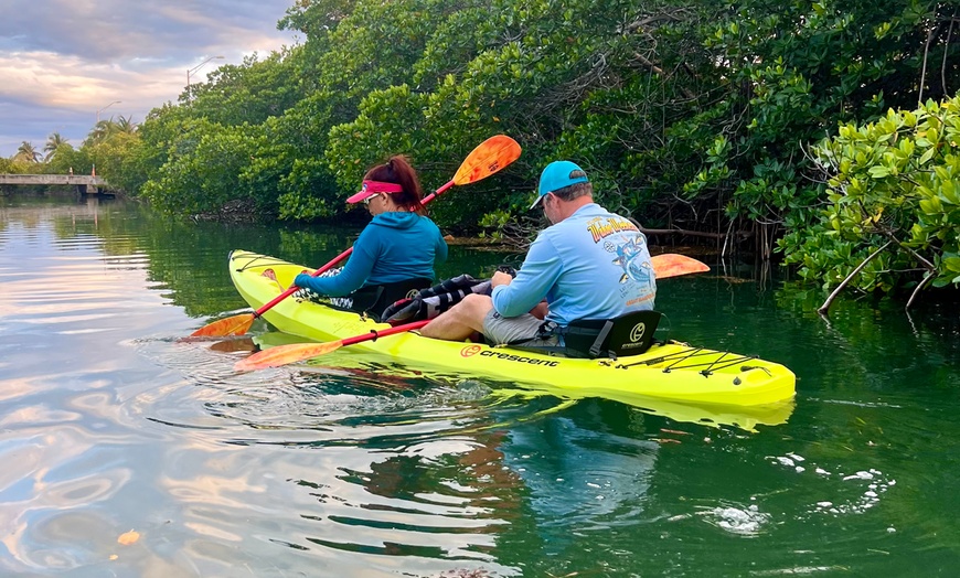 Image 4: 2-Hour Guided Clear or Regular Kayak Eco Tours (6+) for One / Two