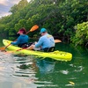 Image 4: 2-Hour Guided Clear or Regular Kayak Eco Tours (6+) for One / Two