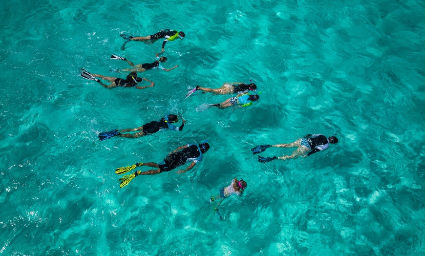 Image 4: Up to 60% Off on Snorkel (Activity / Experience) at Clubsub Diving Club