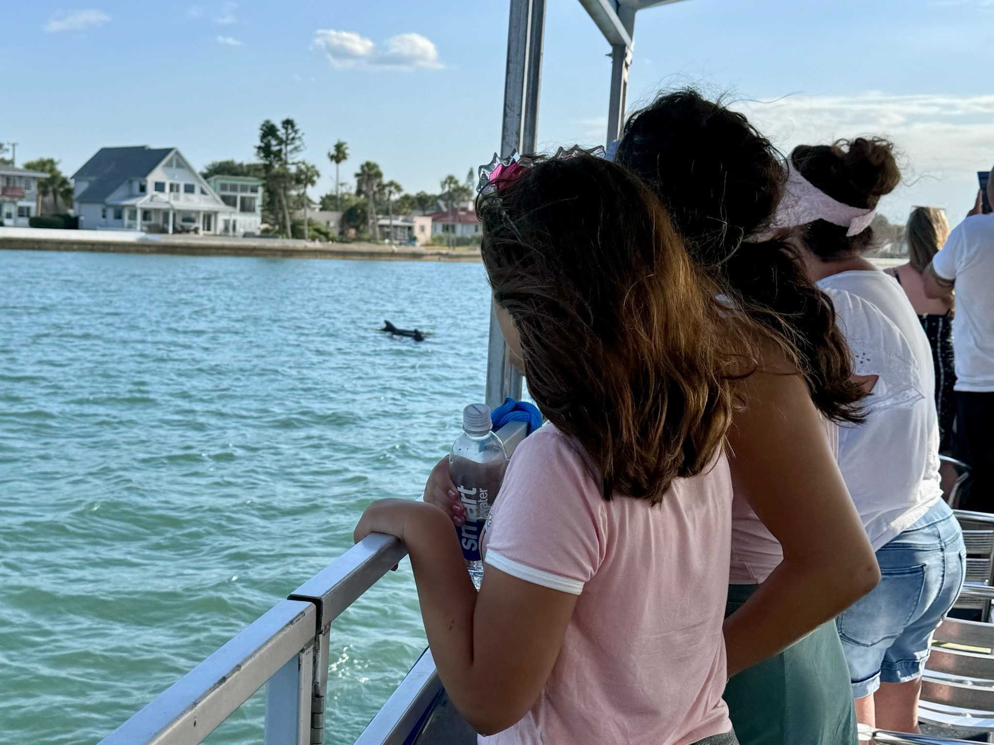 Explore Dolphin Bay with Eco-History Boat Tours for All