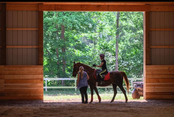 What to expect media