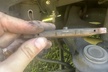 Up to 47% Off on Brake Pad Replacement at J&T Auto Repair LLC - Second Medium