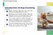 Master Dog Handling with Dog Behaviour and Training Course by Care Skills Training (Up to 82% Off) - Second Medium