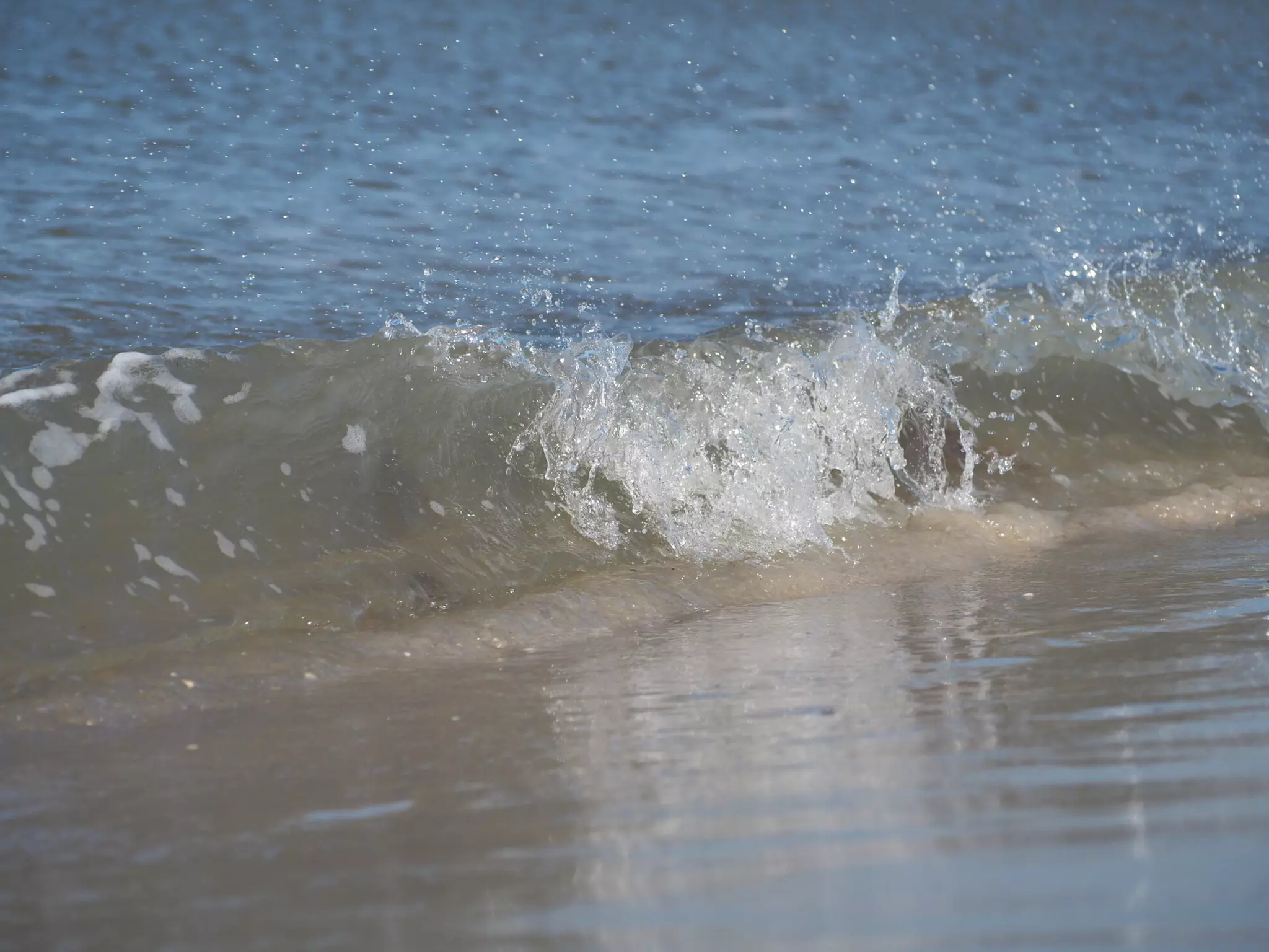 Bis zu 50% Rabatt auf den Berater – Lebensberater bei wellenreiten