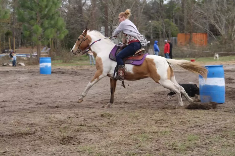 Saddle Up for Adventure: One Horseback Riding Lesson for One Person at Stormy's Stables - Primary Image