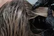 Haircut, Blow-Dry, Style & Conditioning with Optional Single-Process Color or Partial Highlights (Up to 64% Off) - Second Medium