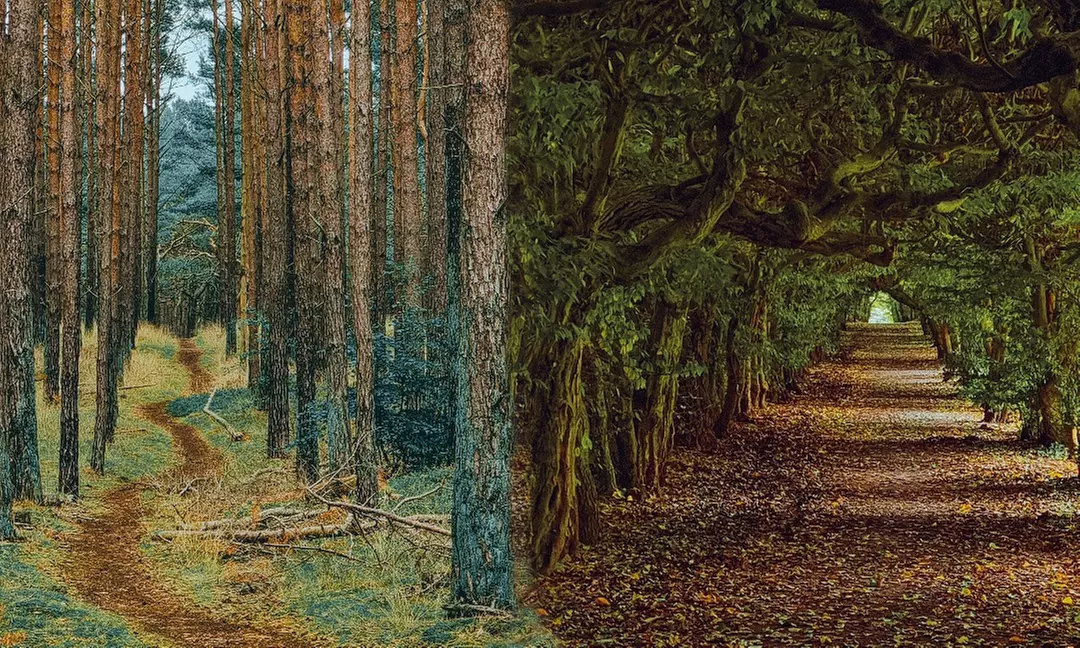 Bis zu 51%Fotografie bei viertel9media UG (haftungsbeschränkt)