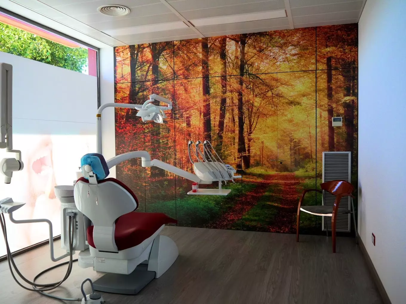 Higiene dental con fluorización