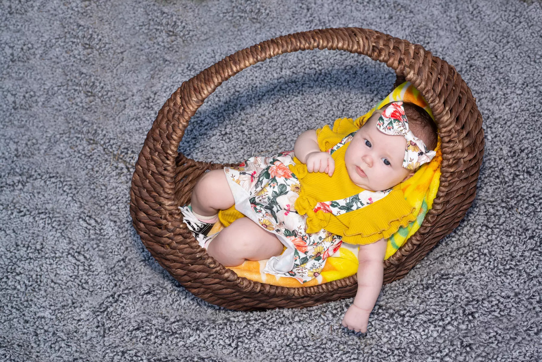 Up to 51% Off on Lifecycle Series Photography at LaFotoDeNatalie (Jacksonville FL photographer)