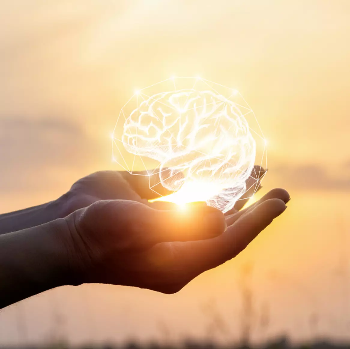 Up to 55% Off on Reiki at Tiffany King Hypnotherapy - Primary Image
