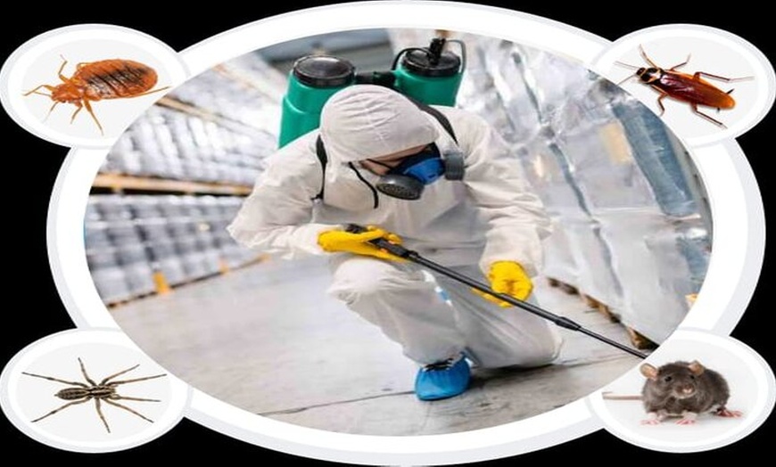 Image 1: Up to 50% Off on Pest Control Service - General