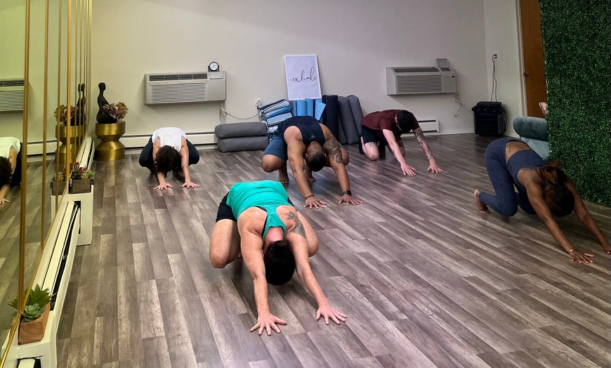 Image 1: Transform with Four or One month of Quadrupedal Movement Sessions