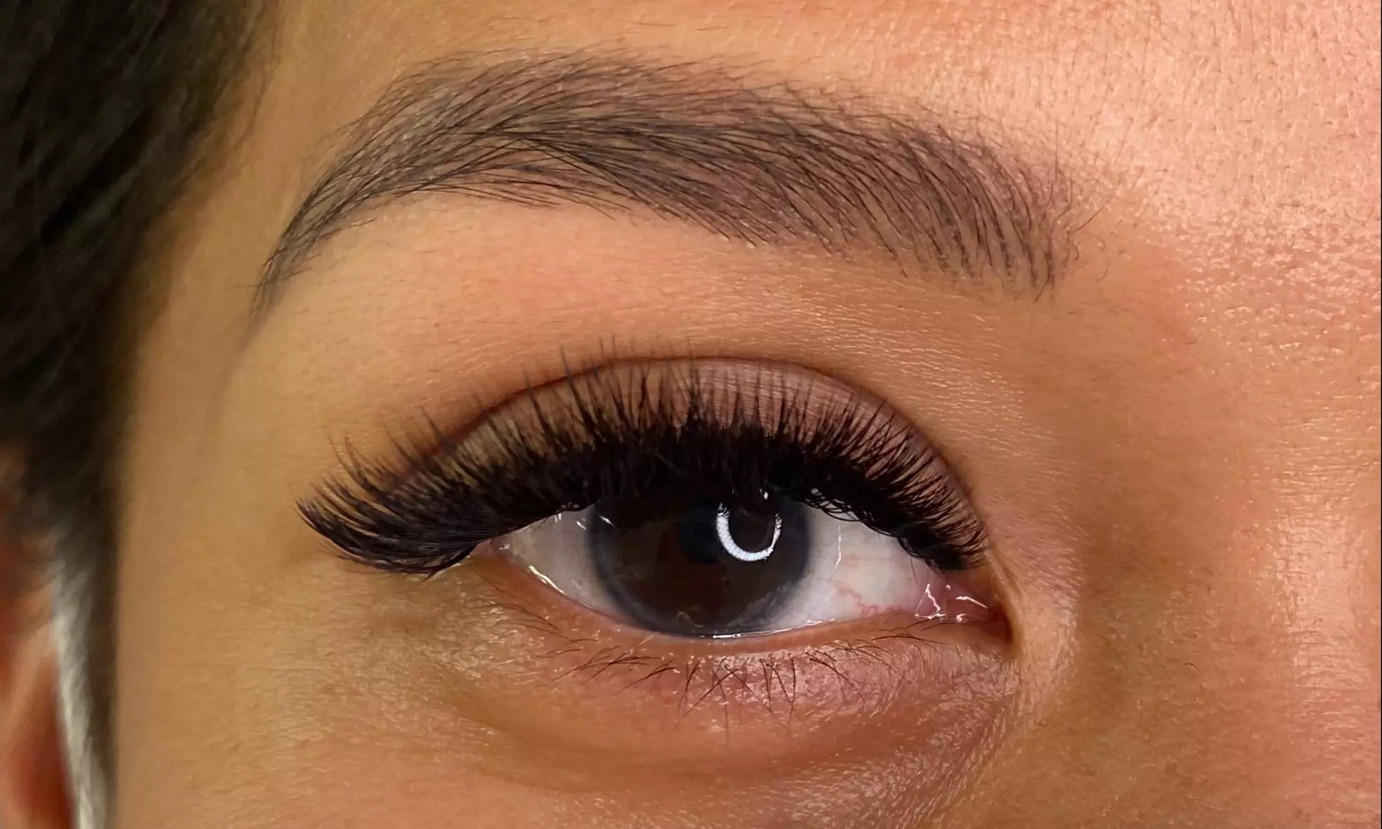 Master Lash Artist's Expert Infill of Extensions, Tinting and More!