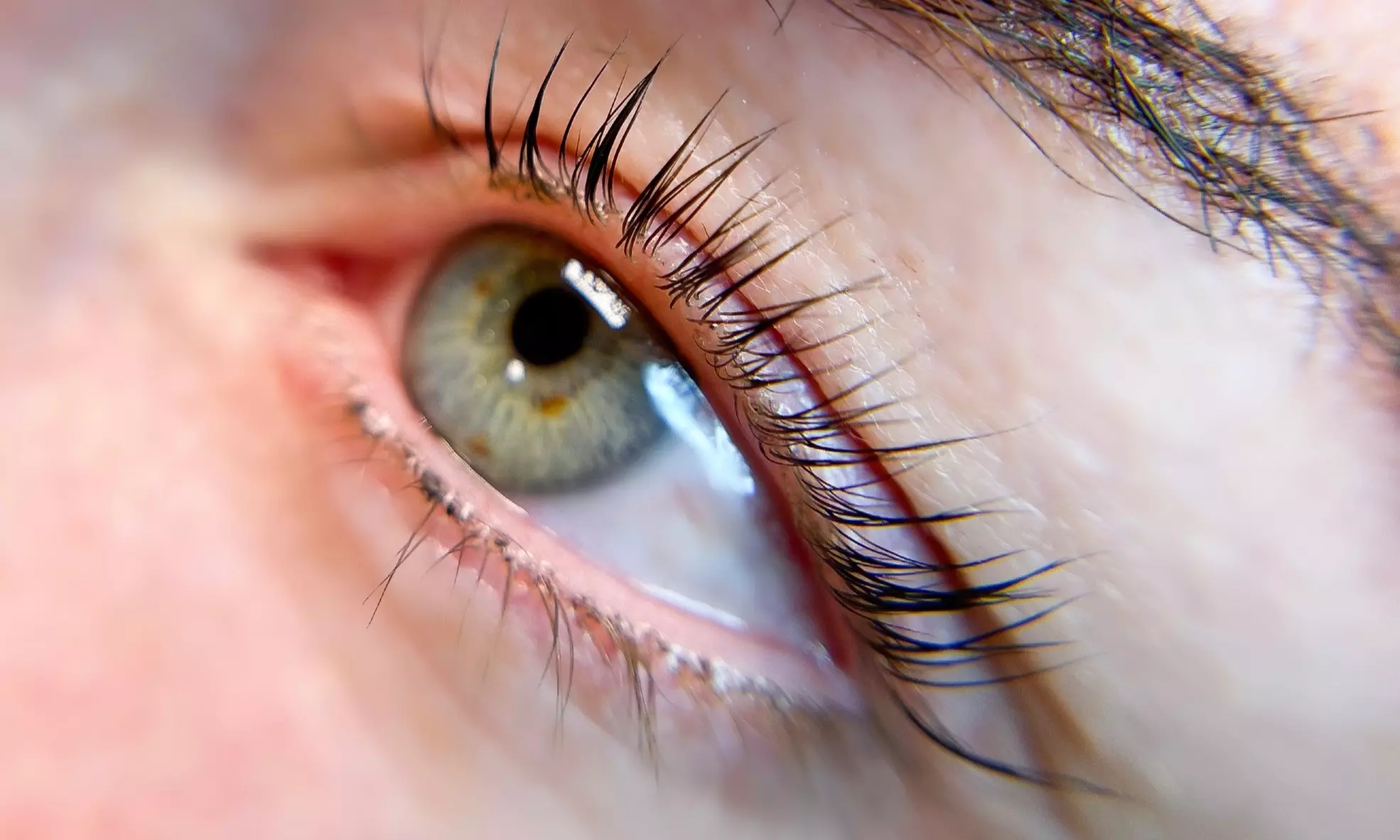 Unlock Your Glam: Transform Your Look with Stunning Eyelash Extensions