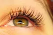 Up to 50% Off on Eyelash Extensions at MsProperLash - Second Medium