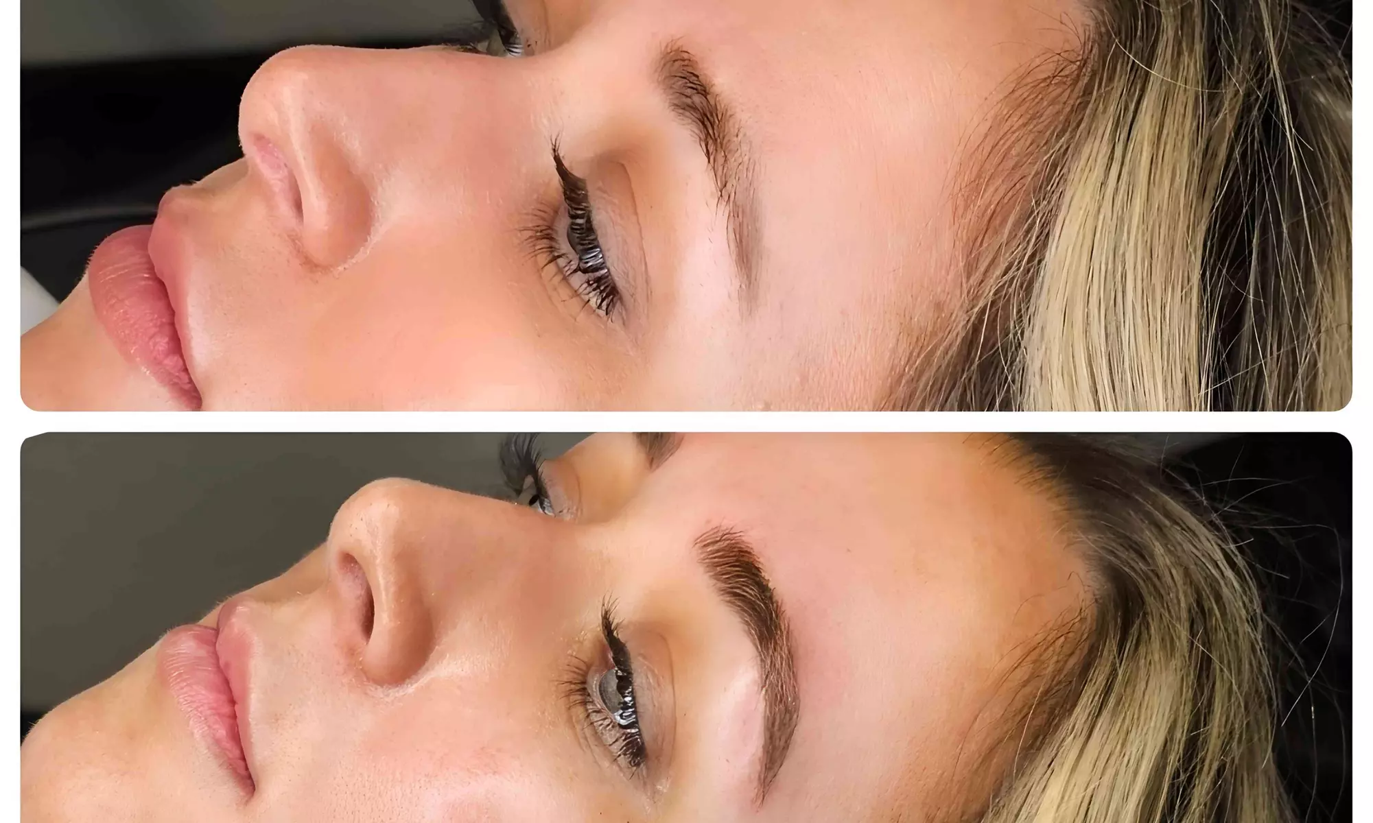 Perfect Brows with One Microblading Session with or without Touch-Up