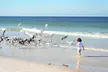 Book your morning beach photo session & get beautiful digital images at Mark Block Photography Up To  56%  - Second Medium