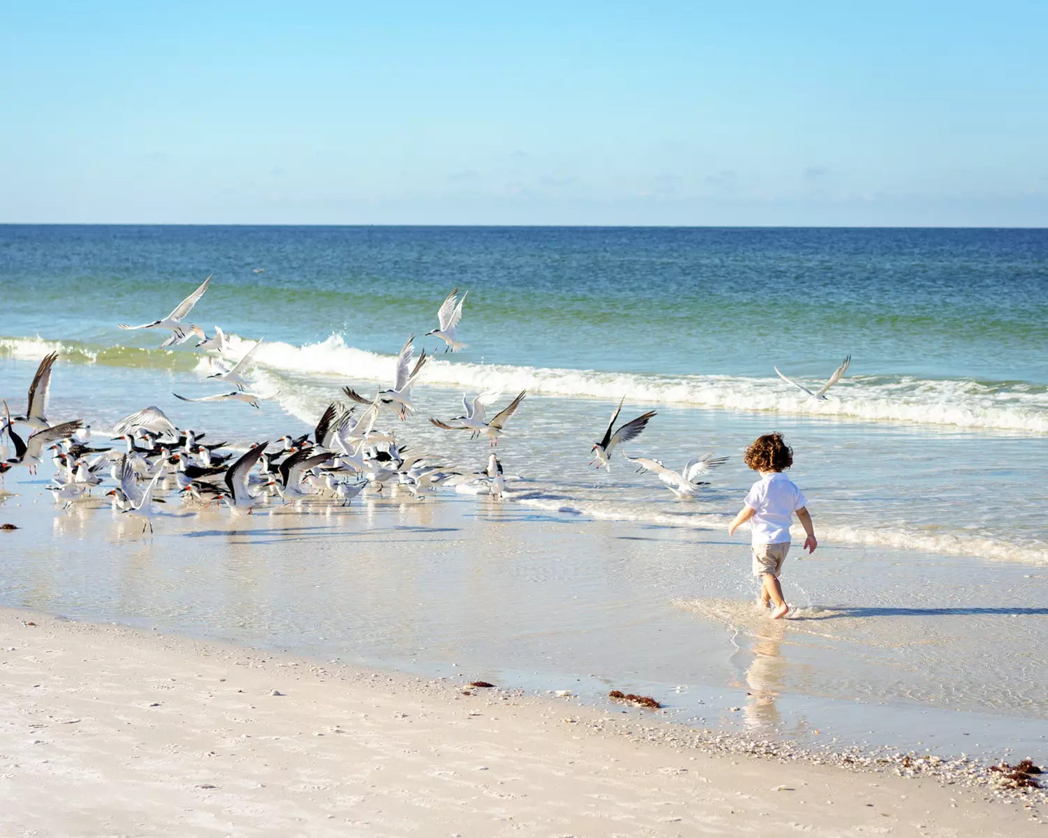 Stunning Morning Beach Photography Sessions 