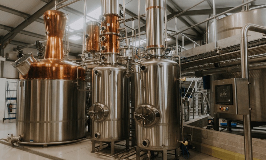 Image 6: Enjoy a Gin School Experience for One, or Two