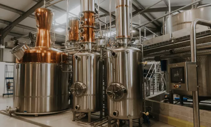 Enjoy a Gin School Experience for One, or Two