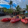 Image 20: Guided Kayak or SUP Eco-Tour – Geiger Key, Key West